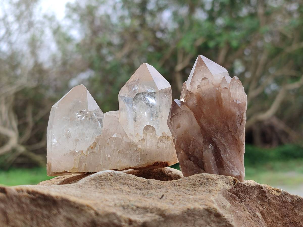 Natural Selected Luena Smokey Phantom Quartz Clusters and Crystals x 12 From Congo - Toprock Gemstones and Minerals 