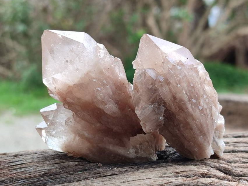 Natural Selected Luena Smokey Phantom Quartz Clusters and Crystals x 12 From Congo - Toprock Gemstones and Minerals 