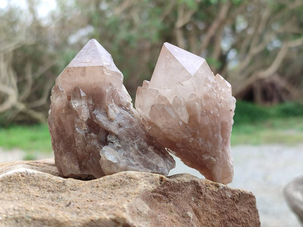 Natural Selected Luena Smokey Phantom Quartz Clusters and Crystals x 12 From Congo - Toprock Gemstones and Minerals 