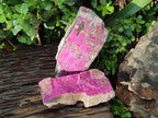 Natural Salrose Cobaltion Dolomite Specimens x 2 From Kakanda, Congo - Toprock Gemstones and Minerals 