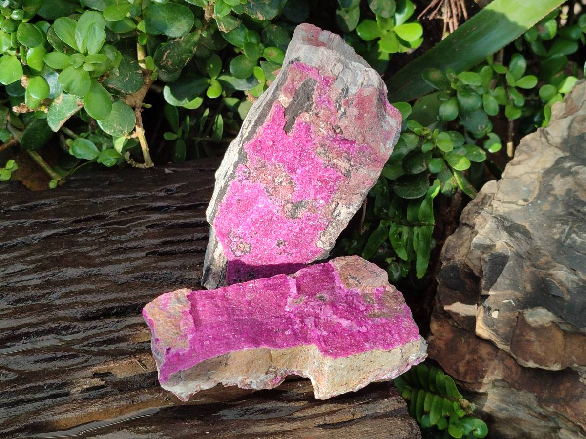 Natural Salrose Cobaltion Dolomite Specimens x 2 From Kakanda, Congo - Toprock Gemstones and Minerals 