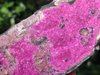 Natural Salrose Cobaltion Dolomite Specimens x 2 From Kakanda, Congo