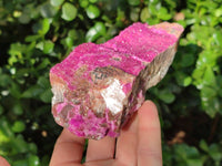 Natural Salrose Cobaltion Dolomite Specimens x 2 From Kakanda, Congo