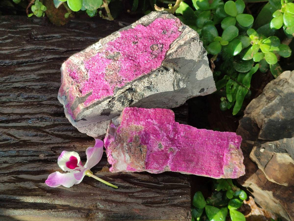 Natural Salrose Cobaltion Dolomite Specimens x 2 From Kakanda, Congo - Toprock Gemstones and Minerals 