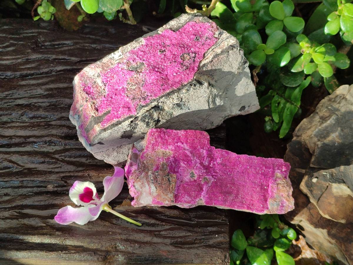 Natural Salrose Cobaltion Dolomite Specimens x 2 From Kakanda, Congo - Toprock Gemstones and Minerals 