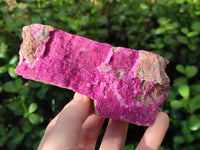 Natural Salrose Cobaltion Dolomite Specimens x 2 From Kakanda, Congo