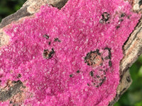 Natural Salrose Cobaltion Dolomite Specimens x 2 From Kakanda, Congo