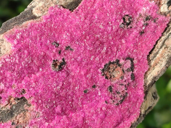 Natural Salrose Cobaltion Dolomite Specimens x 2 From Kakanda, Congo