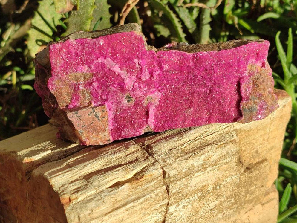 Natural Salrose Cobaltion Dolomite Specimens x 2 From Kakanda, Congo - Toprock Gemstones and Minerals 