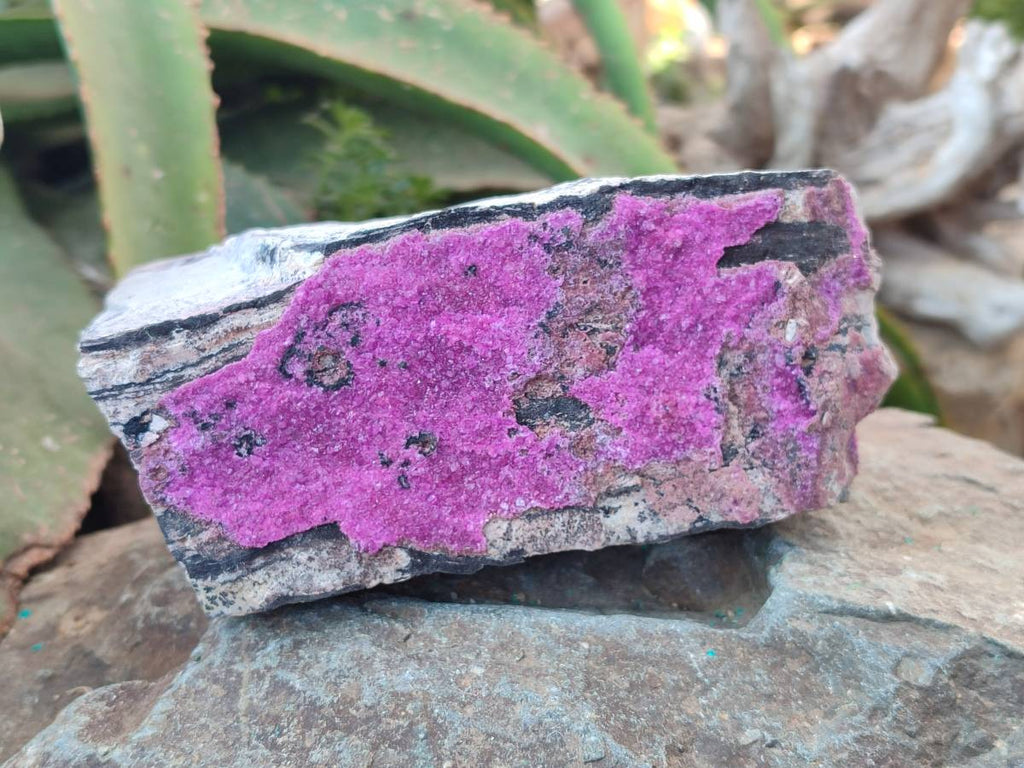 Natural Salrose Cobaltion Dolomite Specimens x 2 From Kakanda, Congo - Toprock Gemstones and Minerals 