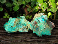 Natural Cobbed Shattuckite, Chrysocolla Specimens x 9 From Koakoveld, Namibia