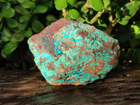 Natural Cobbed Shattuckite, Chrysocolla Specimens x 9 From Koakoveld, Namibia