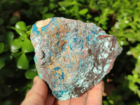 Natural Cobbed Shattuckite, Chrysocolla Specimens x 9 From Koakoveld, Namibia