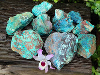 Natural Cobbed Shattuckite, Chrysocolla Specimens x 9 From Koakoveld, Namibia