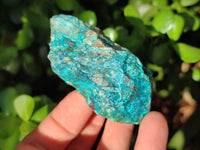 Natural Cobbed Shattuckite, Chrysocolla Specimens x 9 From Koakoveld, Namibia