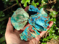 Natural Cobbed Shattuckite, Chrysocolla Specimens x 9 From Koakoveld, Namibia