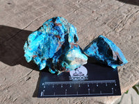 Natural Cobbed Shattuckite, Chrysocolla Specimens x 9 From Koakoveld, Namibia