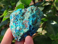 Natural Cobbed Shattuckite, Chrysocolla Specimens x 9 From Koakoveld, Namibia