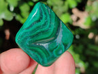 Polished Flower Banded Malachite Free Forms x 35 From Congo - Toprock Gemstones and Minerals 