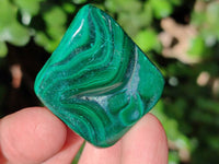 Polished Flower Banded Malachite Free Forms x 35 From Congo