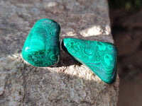 Polished Flower Banded Malachite Free Forms x 35 From Congo