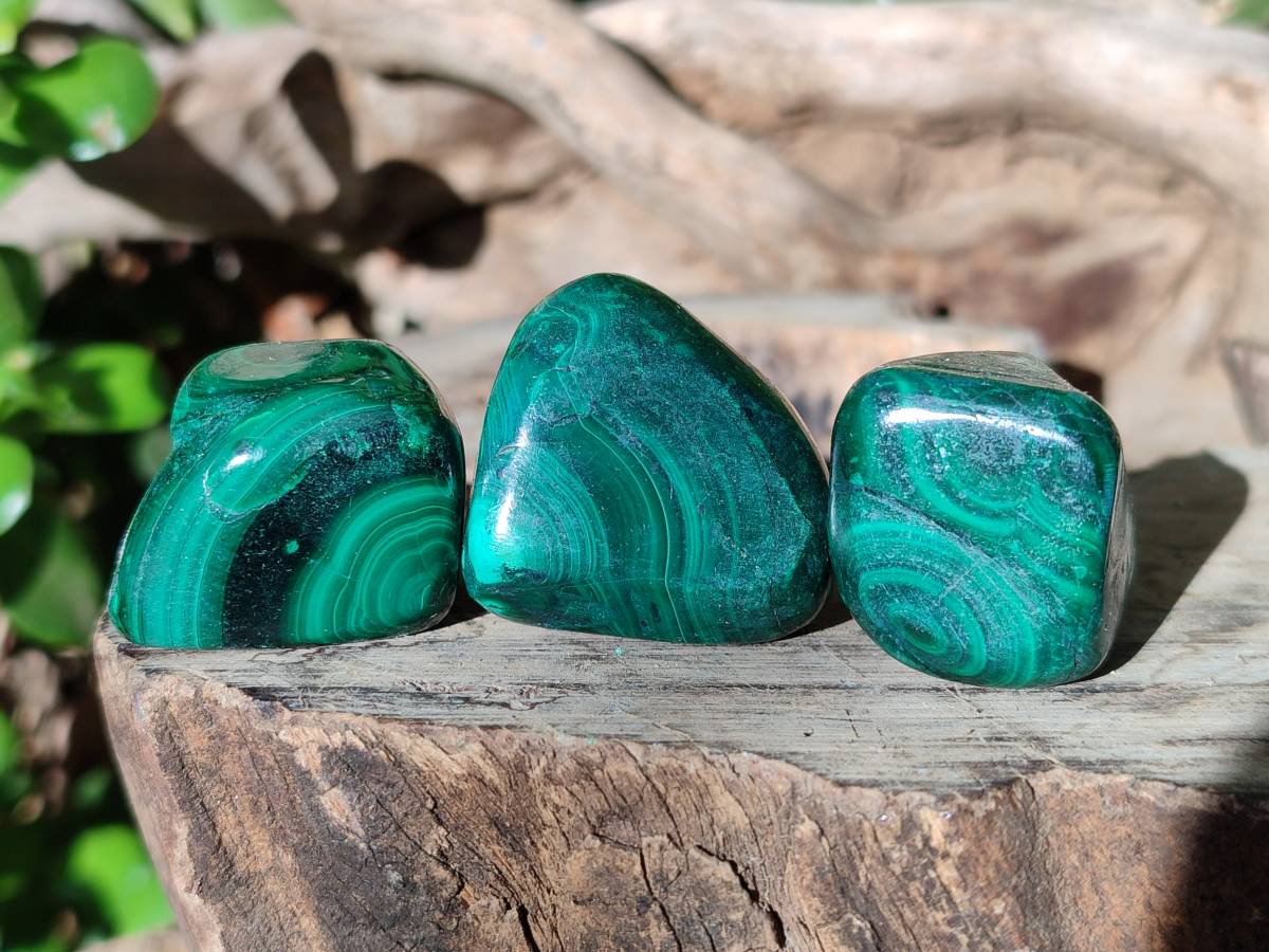Polished Flower Banded Malachite Free Forms x 35 From Congo - Toprock Gemstones and Minerals 