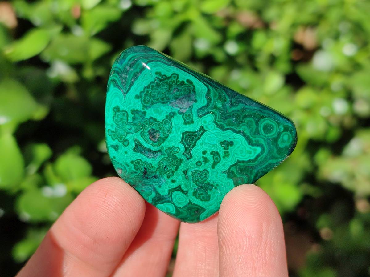 Polished Flower Banded Malachite Free Forms x 35 From Congo - Toprock Gemstones and Minerals 