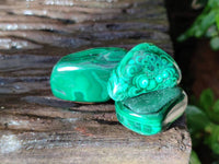 Polished Flower Banded Malachite Free Forms x 35 From Congo