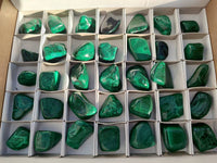 Polished Flower Banded Malachite Free Forms x 35 From Congo