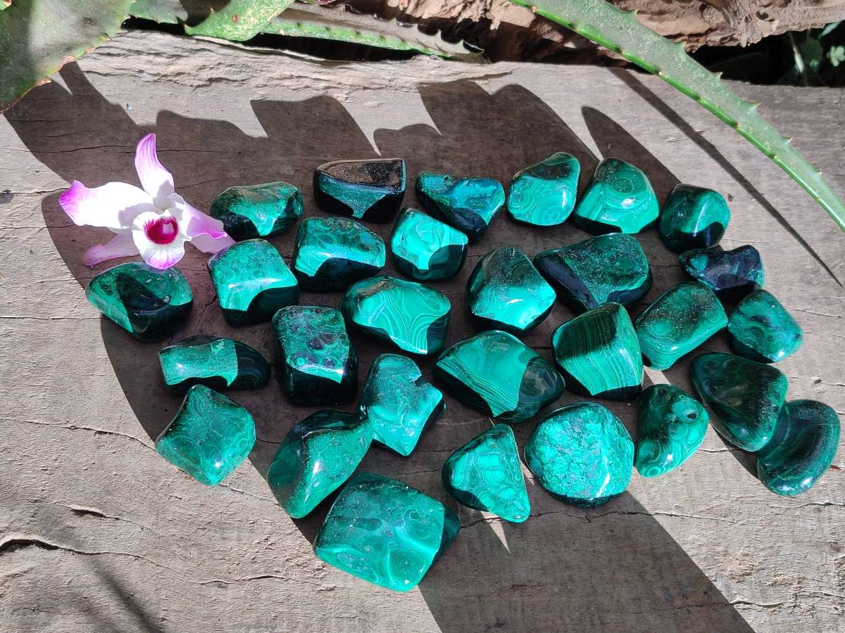 Polished Flower Banded Malachite Free Forms x 35 From Congo - Toprock Gemstones and Minerals 