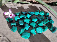 Polished Flower Banded Malachite Free Forms x 35 From Congo