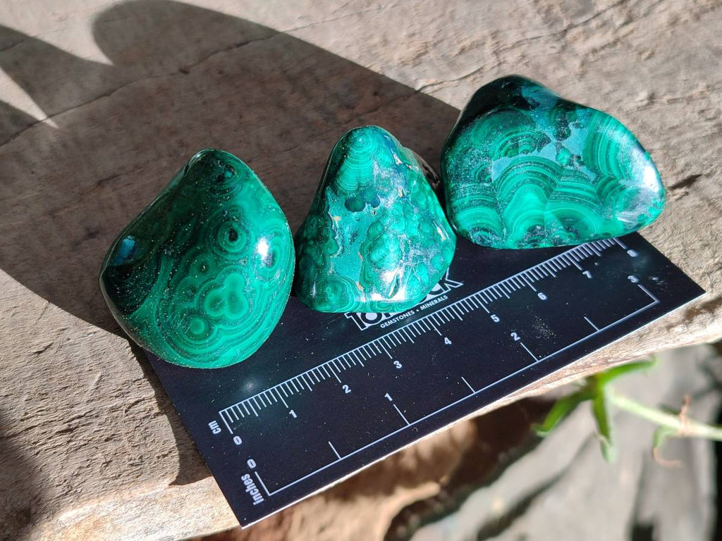 Polished Flower Banded Malachite Free Forms x 35 From Congo - Toprock Gemstones and Minerals 