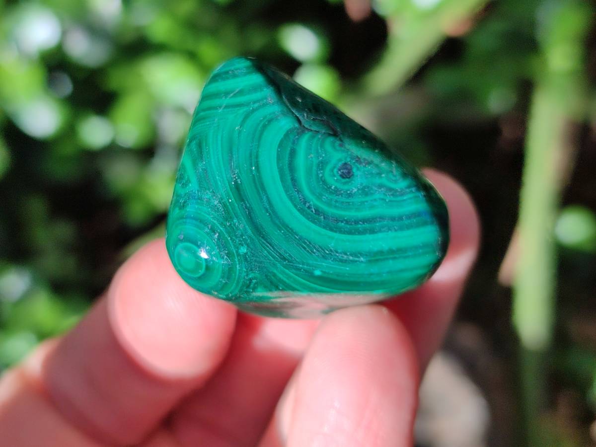Polished Flower Banded Malachite Free Forms x 35 From Congo - Toprock Gemstones and Minerals 