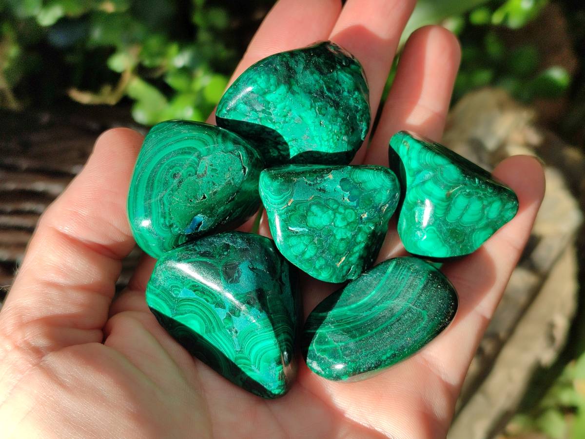 Polished Flower Banded Malachite Free Forms x 35 From Congo - Toprock Gemstones and Minerals 