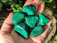 Polished Flower Banded Malachite Free Forms x 35 From Congo