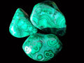 Polished Flower Banded Malachite Free Forms x 35 From Congo - Toprock Gemstones and Minerals 