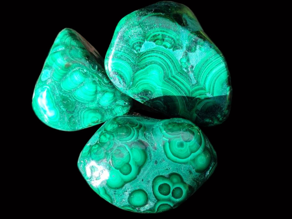Polished Flower Banded Malachite Free Forms x 35 From Congo - Toprock Gemstones and Minerals 