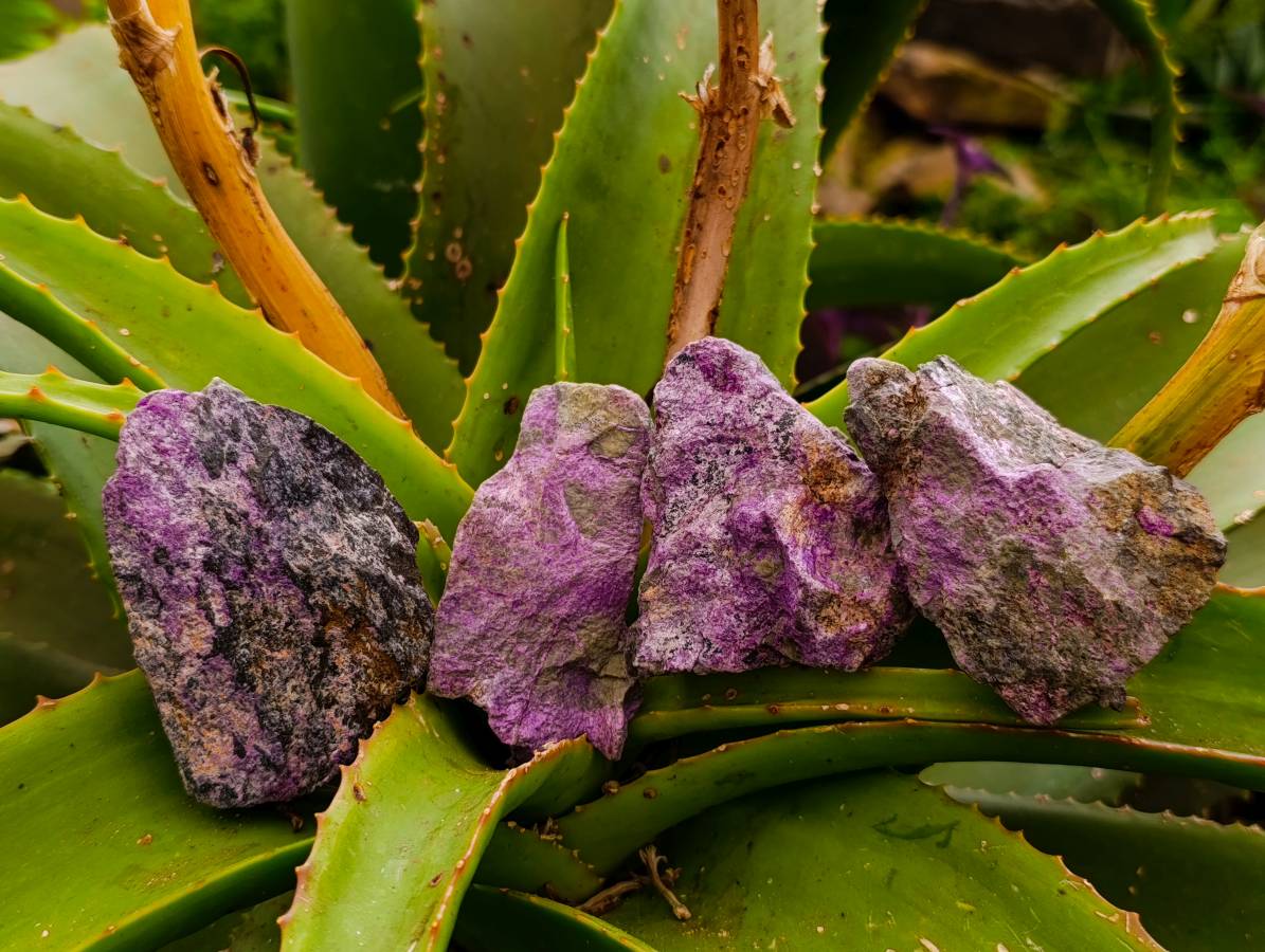 Natural Stichtite Cobbed Specimens x 24 From Barberton, South Africa - Toprock Gemstones and Minerals 