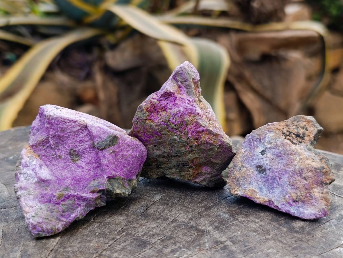 Natural Stichtite Cobbed Specimens x 24 From Barberton, South Africa - Toprock Gemstones and Minerals 