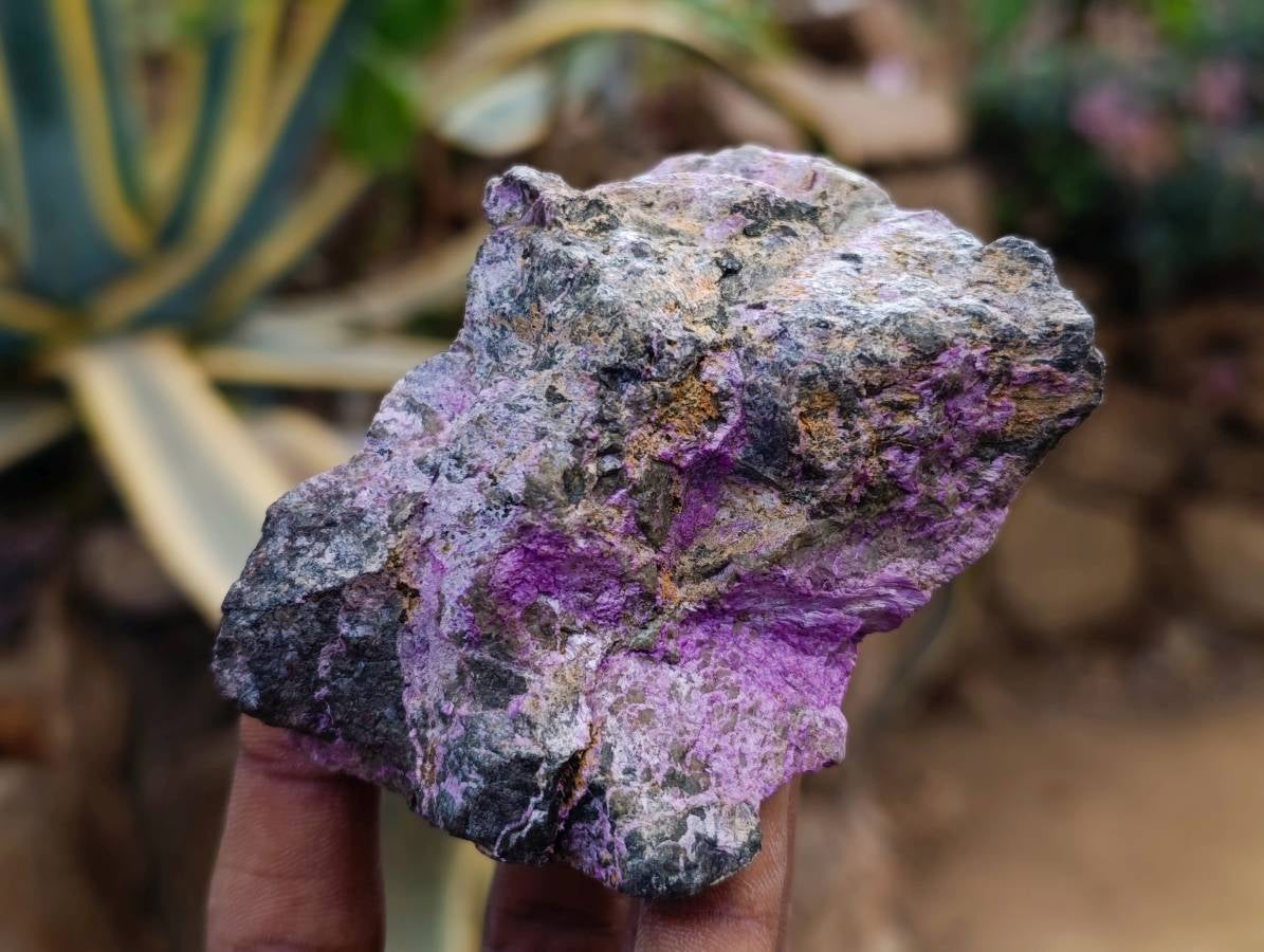 Natural Stichtite Cobbed Specimens x 24 From Barberton, South Africa - Toprock Gemstones and Minerals 