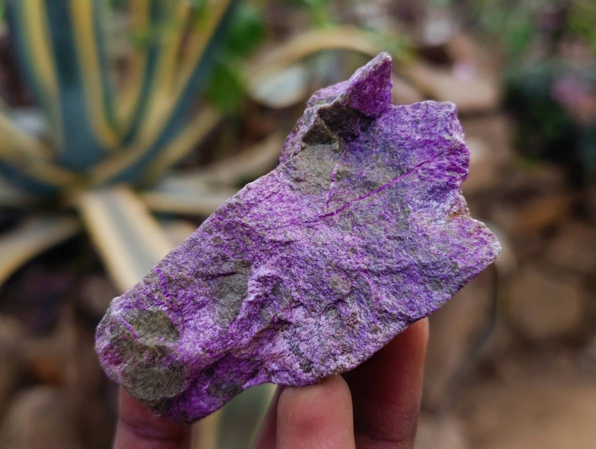 Natural Stichtite Cobbed Specimens x 24 From Barberton, South Africa - Toprock Gemstones and Minerals 