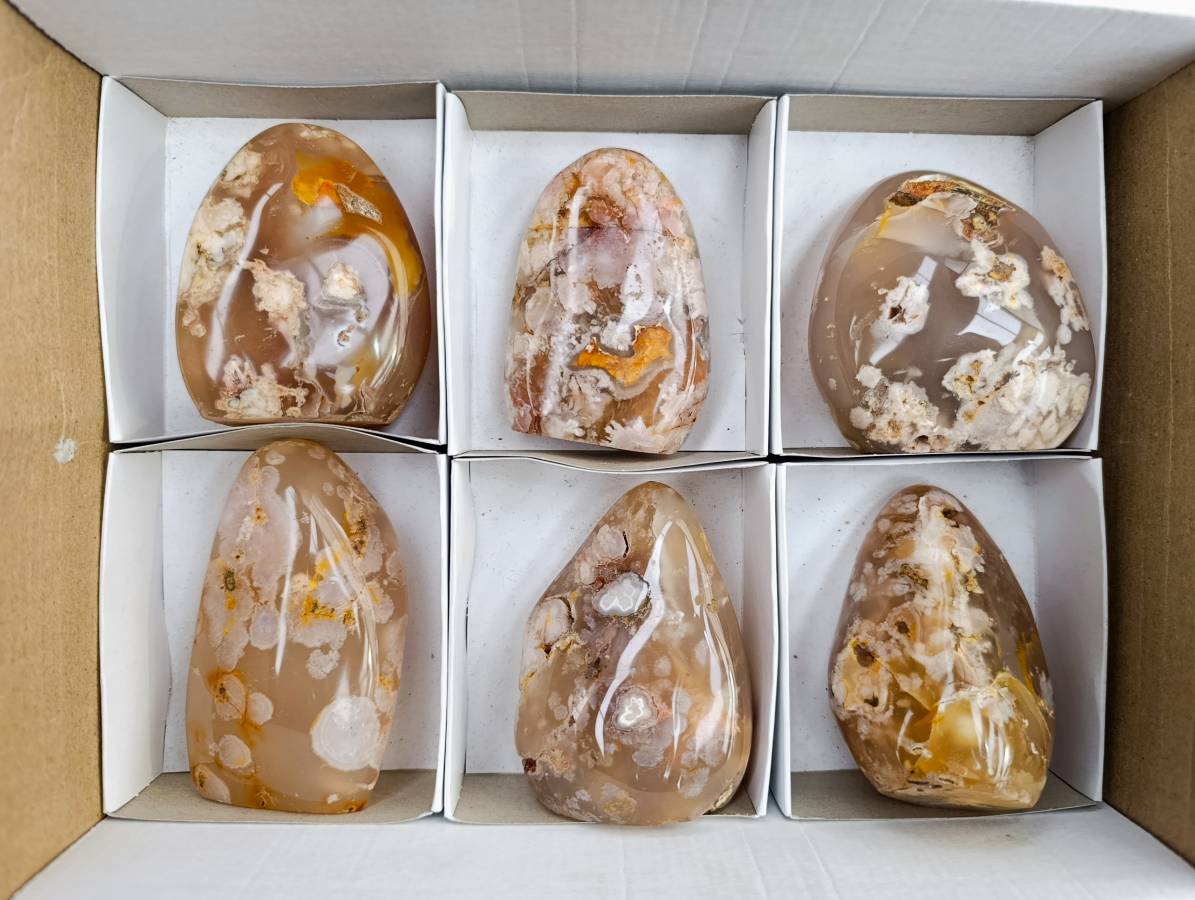 Polished Flower Agate Standing Free Forms x 6 From Antsahalova, Madagascar - Toprock Gemstones and Minerals 
