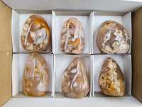 Polished Flower Agate Standing Free Forms x 6 From Antsahalova, Madagascar
