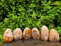 Polished Flower Agate Standing Free Forms x 6 From Antsahalova, Madagascar