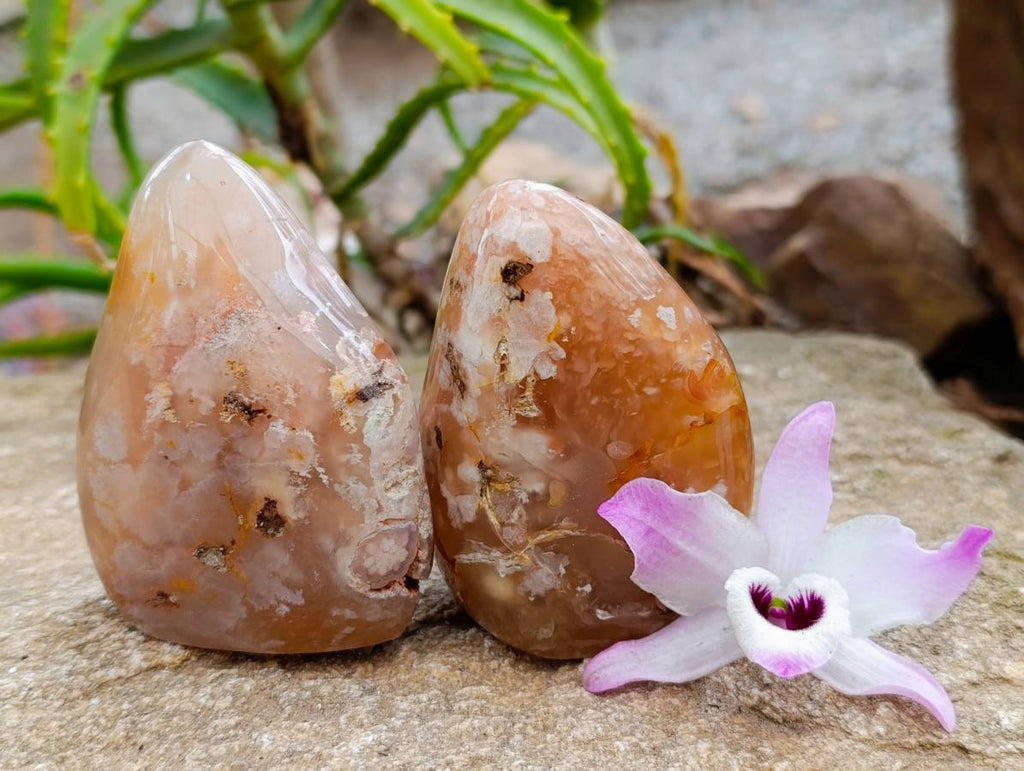 Polished Flower Agate Standing Free Forms x 6 From Antsahalova, Madagascar - Toprock Gemstones and Minerals 