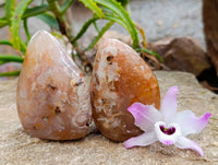 Polished Flower Agate Standing Free Forms x 6 From Antsahalova, Madagascar