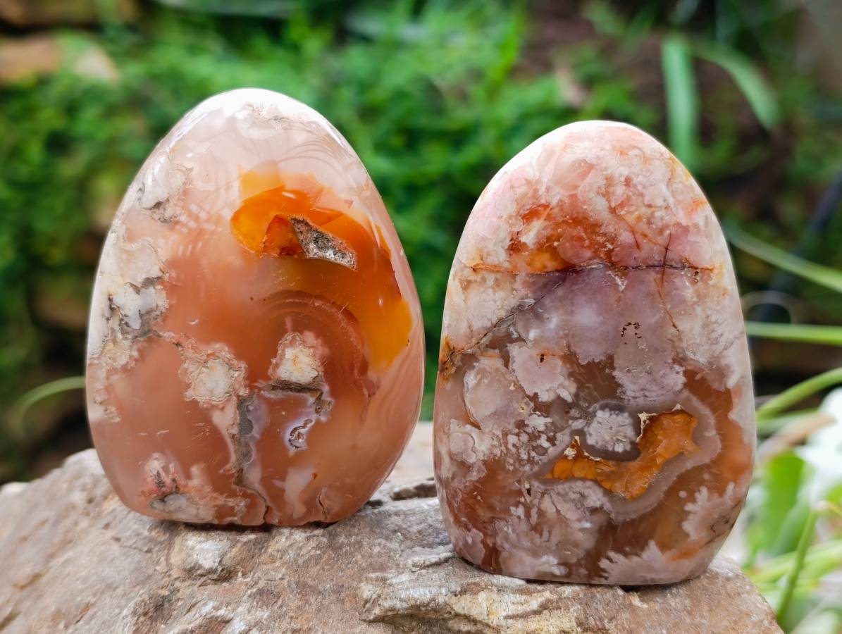 Polished Flower Agate Standing Free Forms x 6 From Antsahalova, Madagascar - Toprock Gemstones and Minerals 
