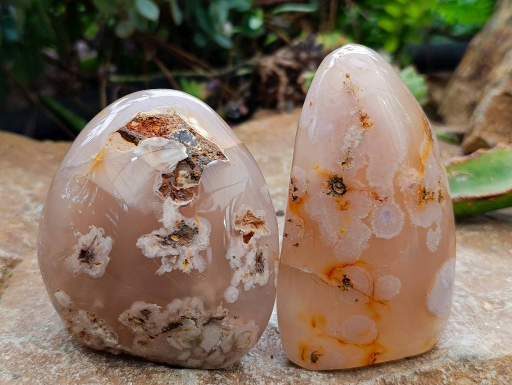 Polished Flower Agate Standing Free Forms x 6 From Antsahalova, Madagascar - Toprock Gemstones and Minerals 