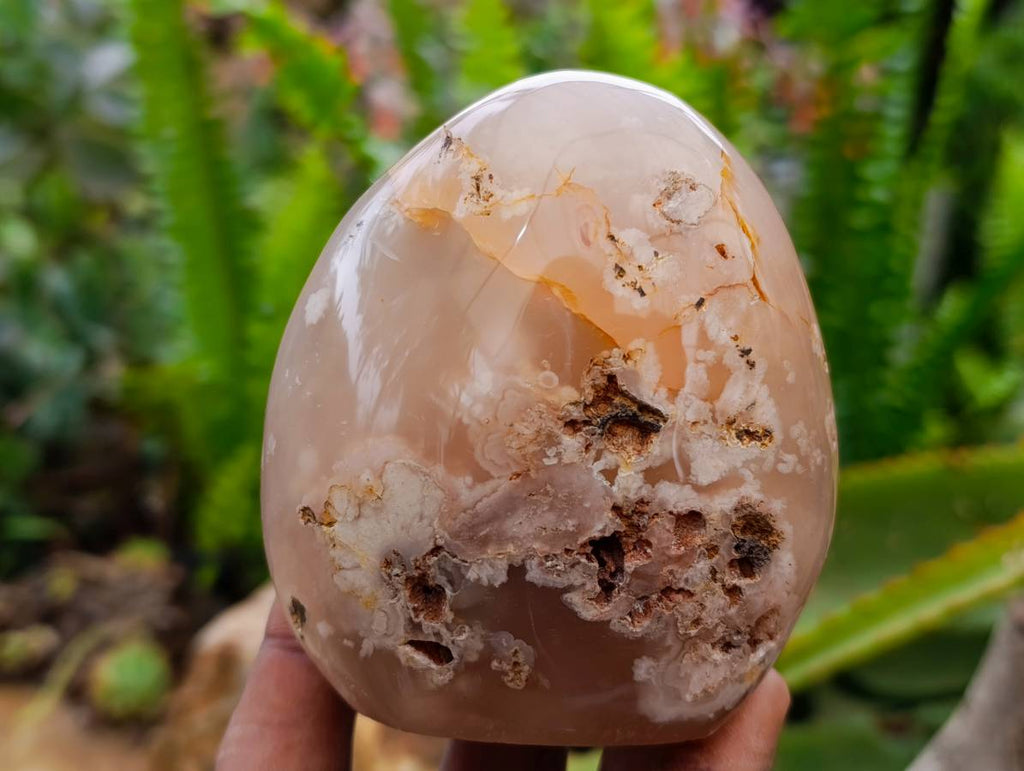Polished Flower Agate Standing Free Forms x 6 From Antsahalova, Madagascar - Toprock Gemstones and Minerals 