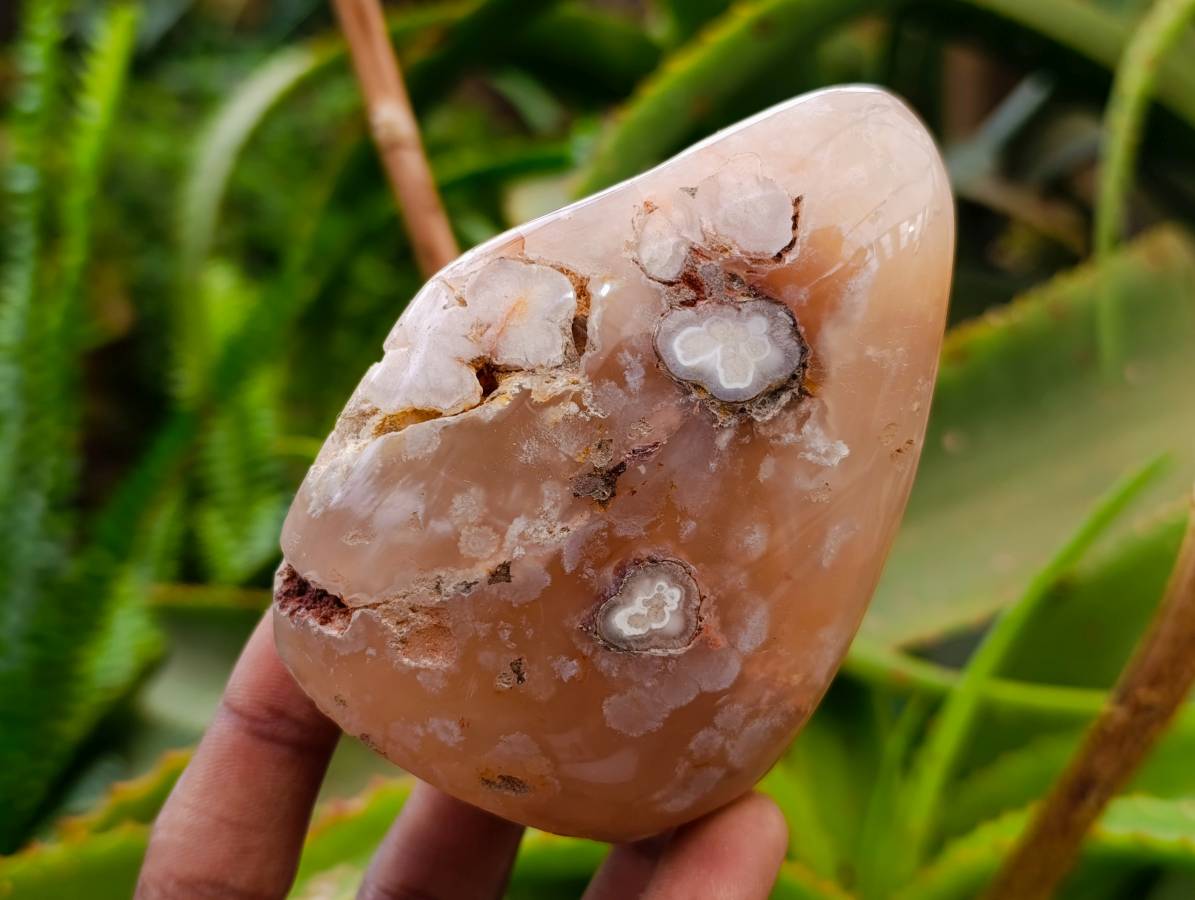 Polished Flower Agate Standing Free Forms x 6 From Antsahalova, Madagascar - Toprock Gemstones and Minerals 